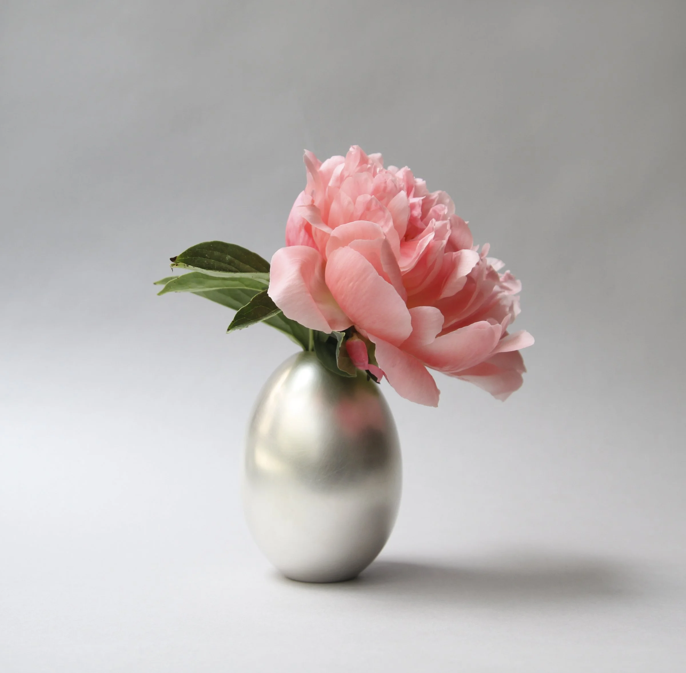 Nymphenburg Porcelain Rococo Candlesticks — Ted Muehling